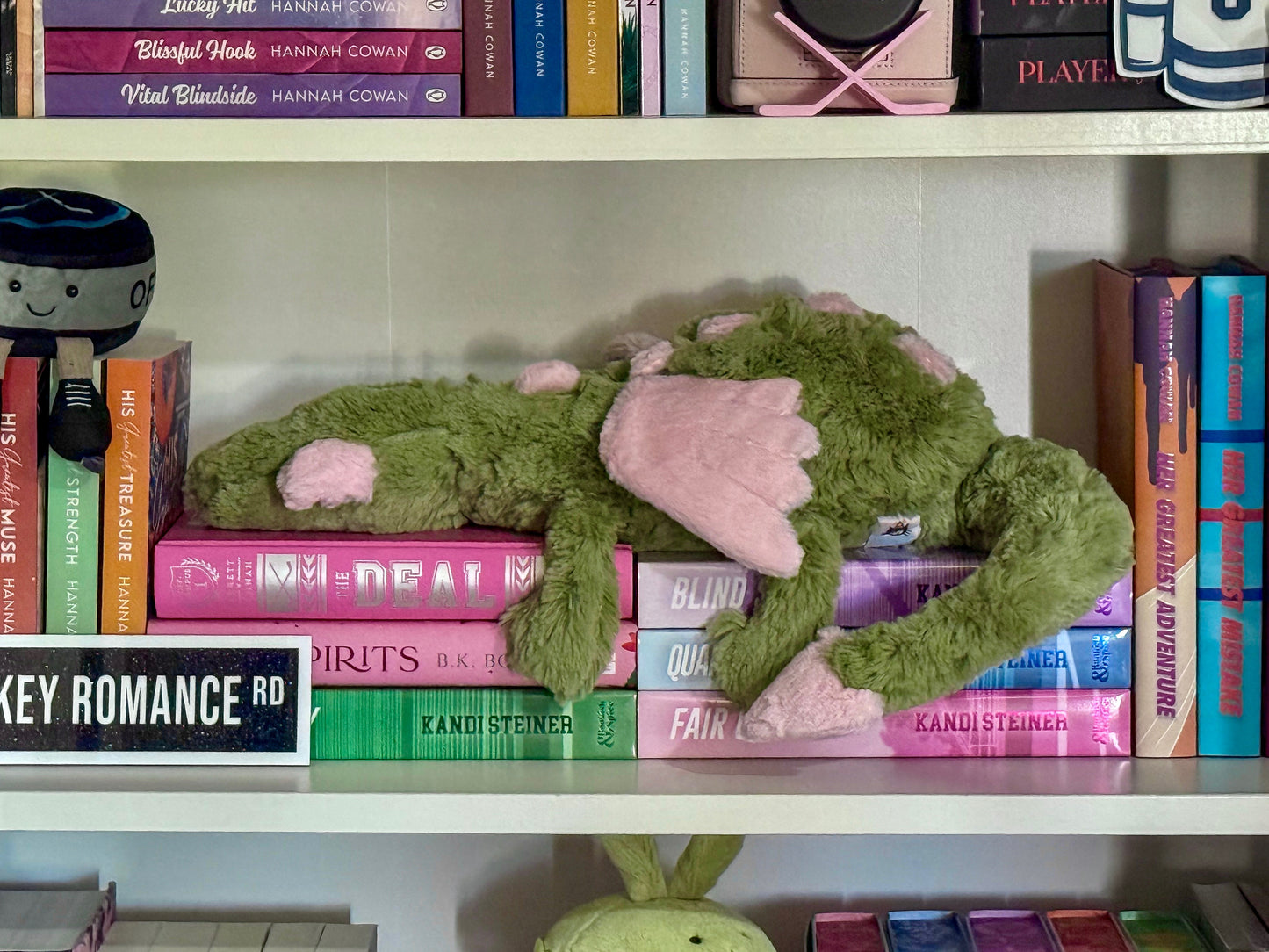 Sage Book Dragon