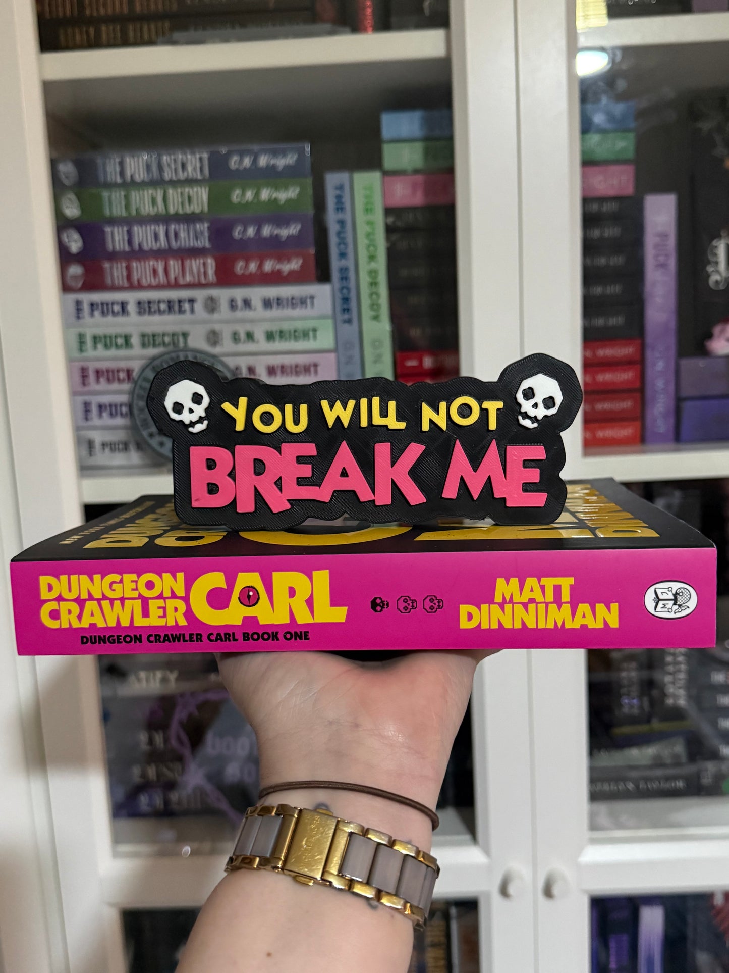 DCC You will not break me shelf sign