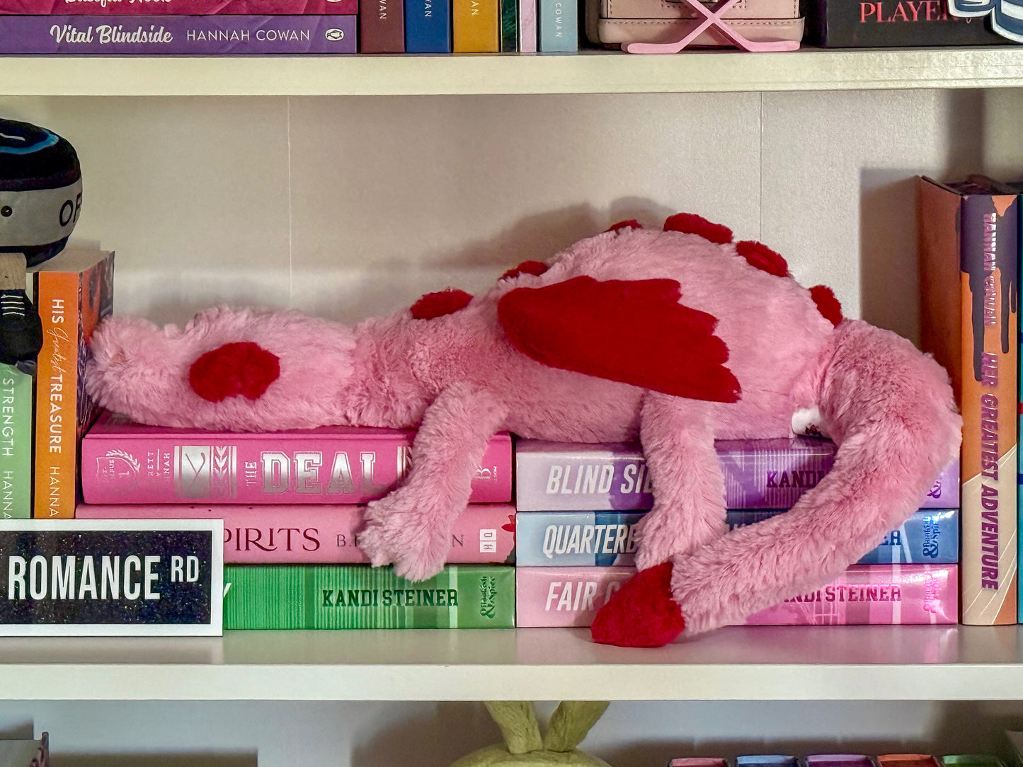 Rosie Book Dragon