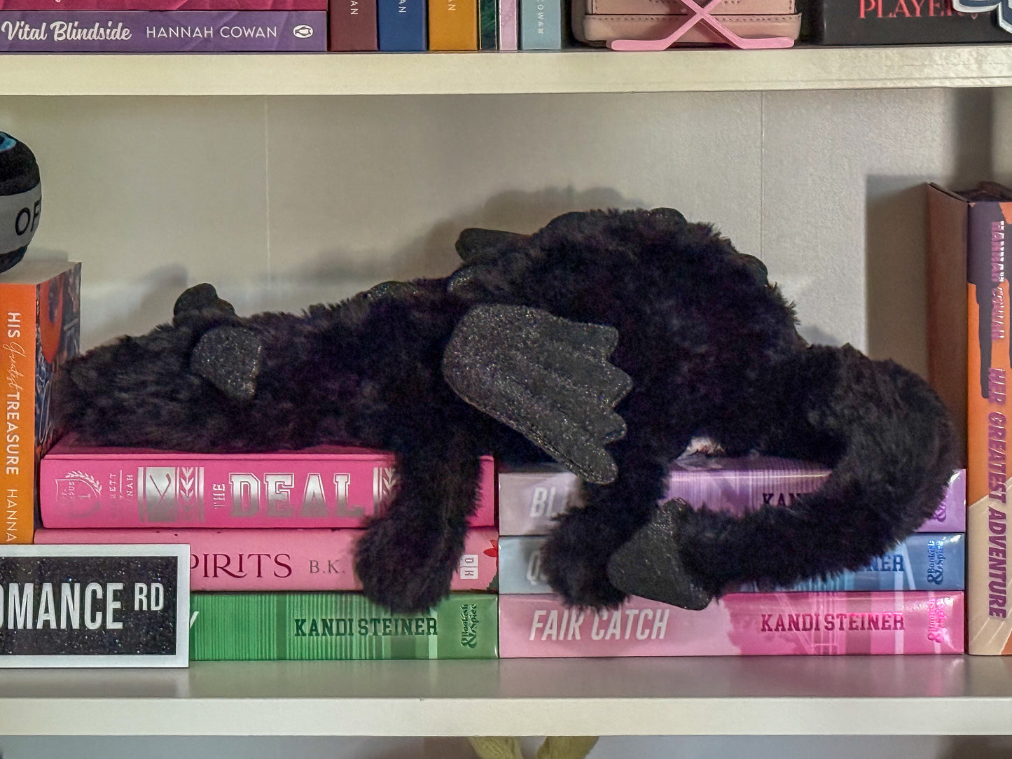 Midnight Book Dragon