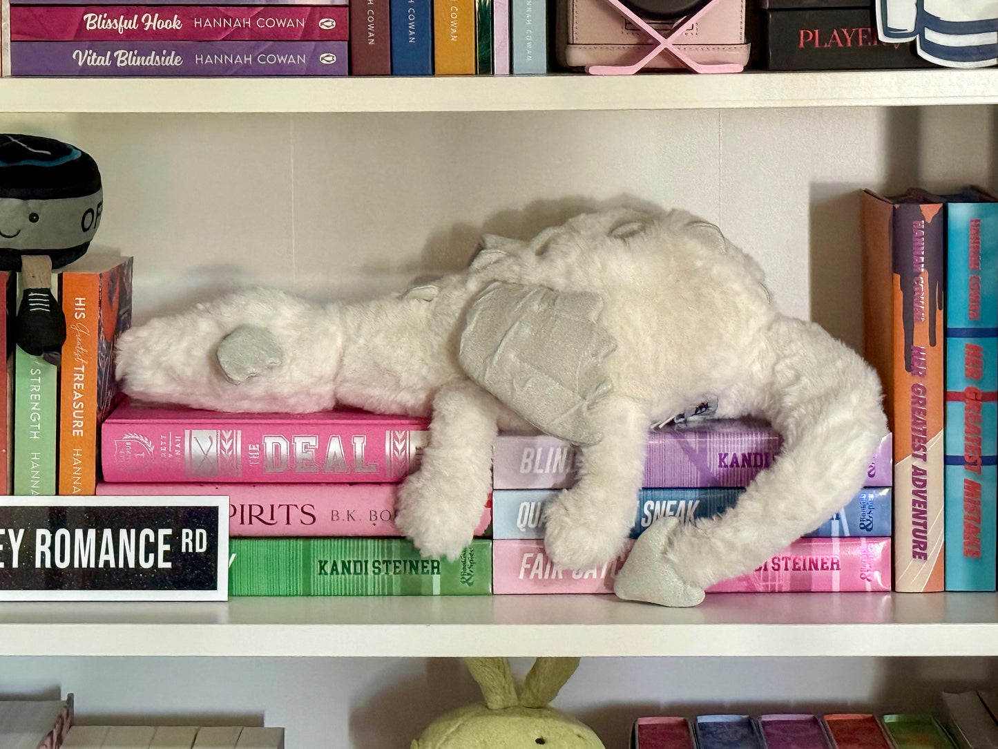 Frost Book Dragon