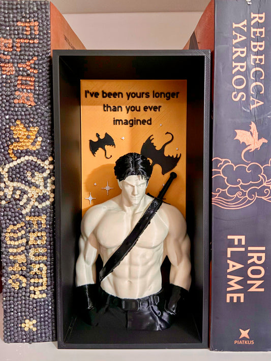 Fourth Wing Inspired Book Nook