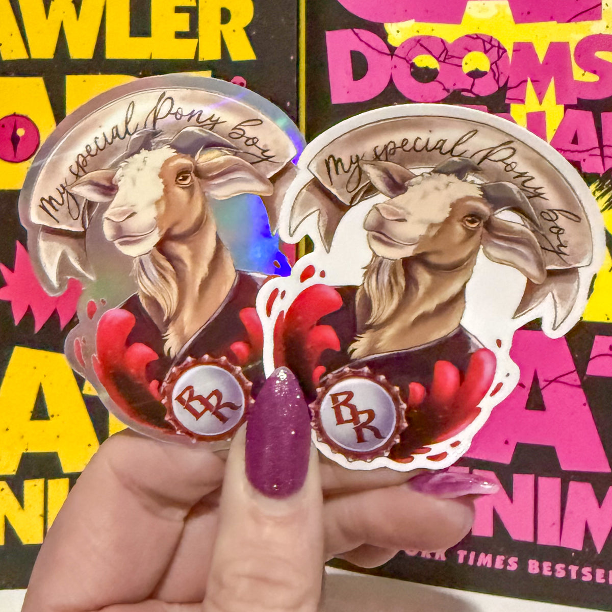 DCC My Special Pony Boy Sticker 7cm